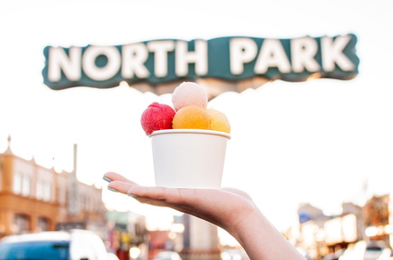Scoop San Diego Ice Cream Festival