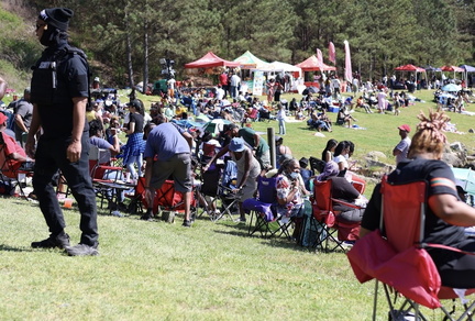R&B Family Friendly Picnic Experience