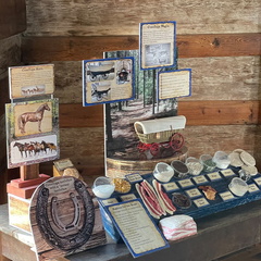 Pioneer Heritage Festival