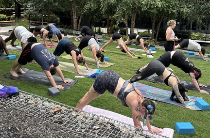 Hops & Flow Beer Yoga