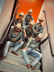 Conjunto rienda real