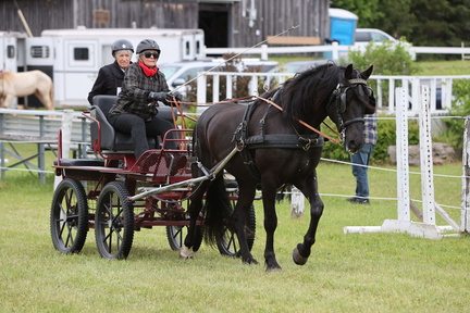 Caledon Fair – 2025