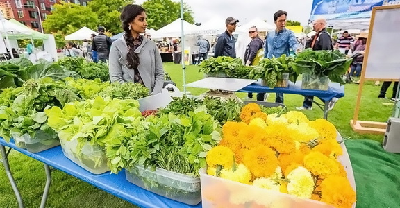 VegFest - Redmond Downtown Park