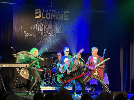 Bootleg Blondie A Tribute To Blondie