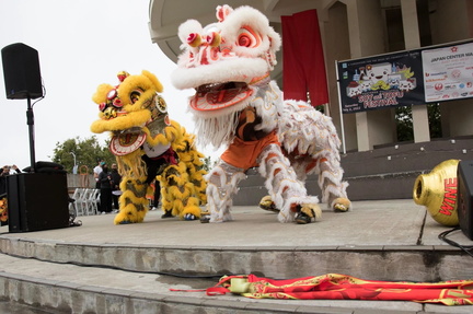 The Northern California Soy and Tofu Festival