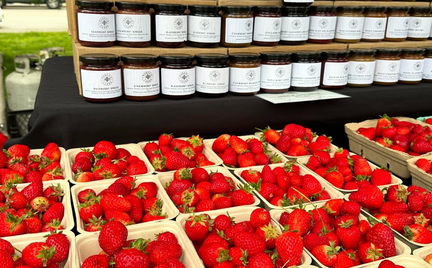 Strawberry Festival