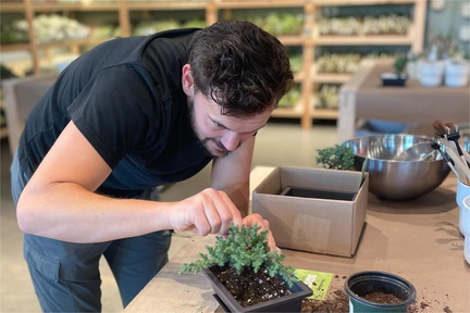 Fathers Day Bonsai Workshop
