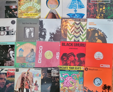 Lark Lane Record Fair