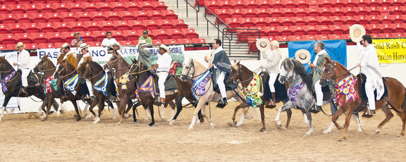 Gold Rush Peruvian Classic Horse Show