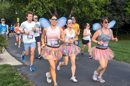 The Flutter Run.v1