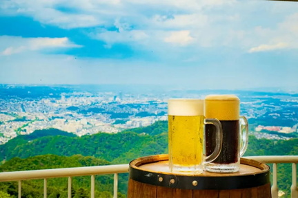 Takao Beer Mount Spring Edition