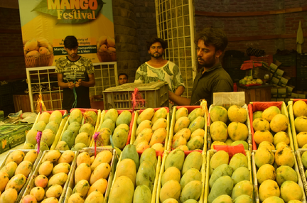 Mango Fest 2.0