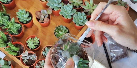 DIY Terrarium Workshop