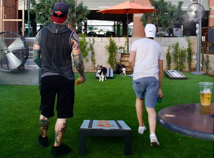 Cornhole Competition