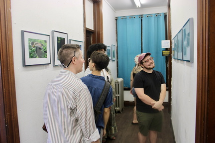 Locust Street Art 63rd Annual Art Show