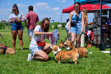10th Annual Corgis &amp; Friends Bark to the Future