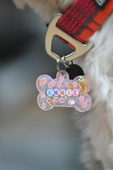 Collar & Charm Bar DIY