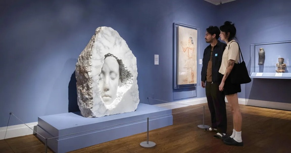 New Exhibitions Spotlight