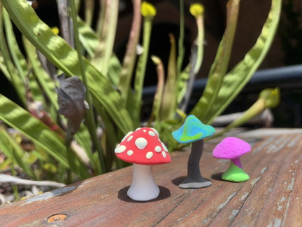 Clay Mushroom Madness