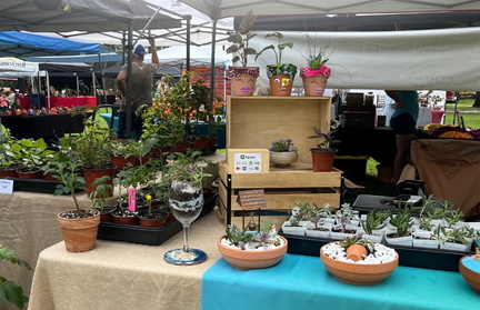 The Dirtbag Farmers Market