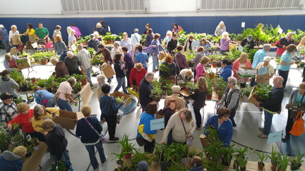 Lewiston GardenFest
