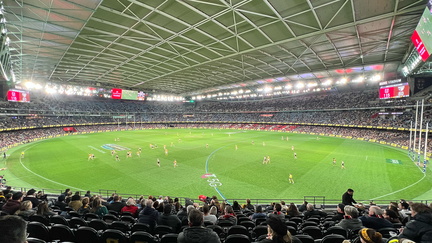 Collingwood vs. West Coast Eagles Round 16