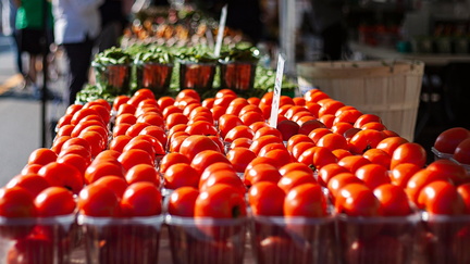 Brampton Farmers Market