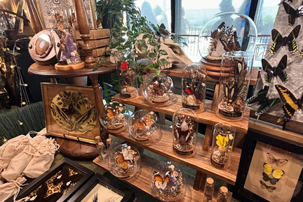 Austin Witches Market