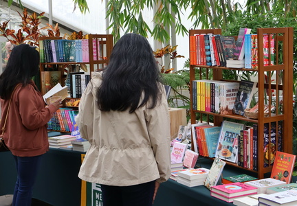 Boozy-Book-Fair-Identity-scaled