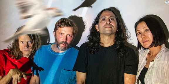 Deerhoof