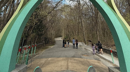 Saturday Walks with Artists