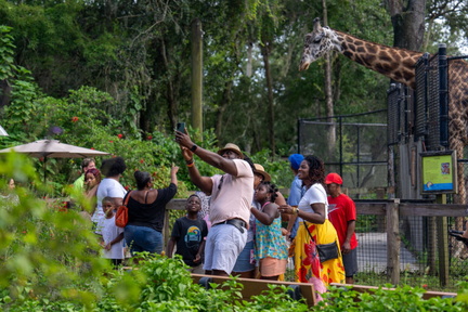 Sunset at the Zoo Celebrating Black and African American Heritage