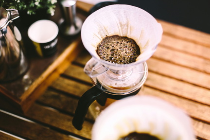 Vivre Brewed Saga