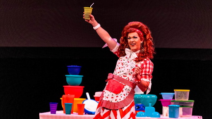 Dixie's Tupperware Party