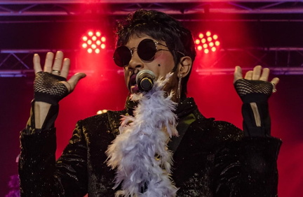 The Purple Madness A Tribute to Prince
