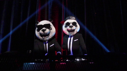 Suit & Panda