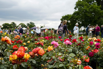 The Blenheim Palace Flower Show