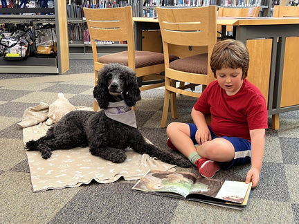 Barks and Books
