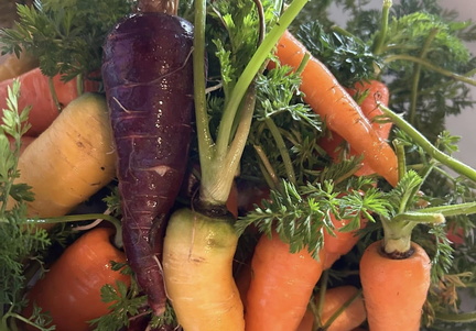 ICI Farmers Market