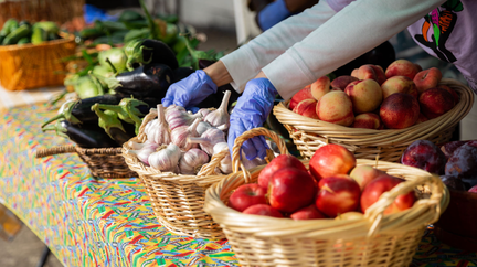 Copy-of-Food-Hub-Farm-Stand-Landing-Page-1