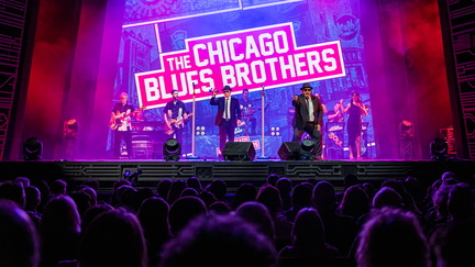 The Chicago Blues Brothers
