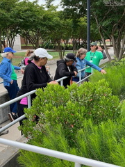 ERT Botanical Walking Tour