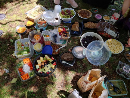 Vegan Potluck Picnic