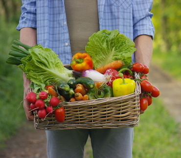 Frisco Rotary Farmers Market - Kaleidoscope Park
