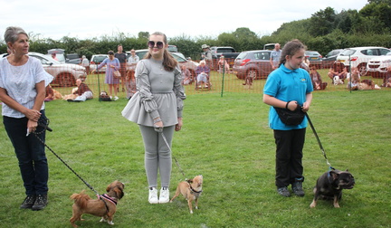 2nd Fair &amp; Fun Dog Show