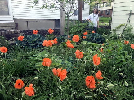 Irvington Garden Tour
