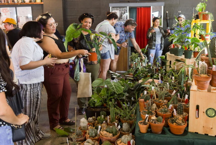 Plant Party