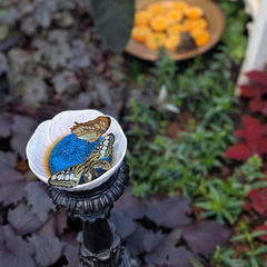 Gothica Botanica Buttefly Show Krohn Conservatory