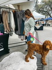 Tower Market Days