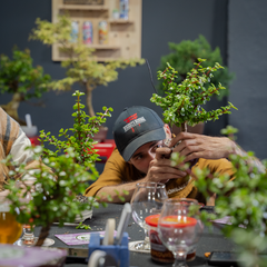 BonsaiBar_Bonsai Workshop